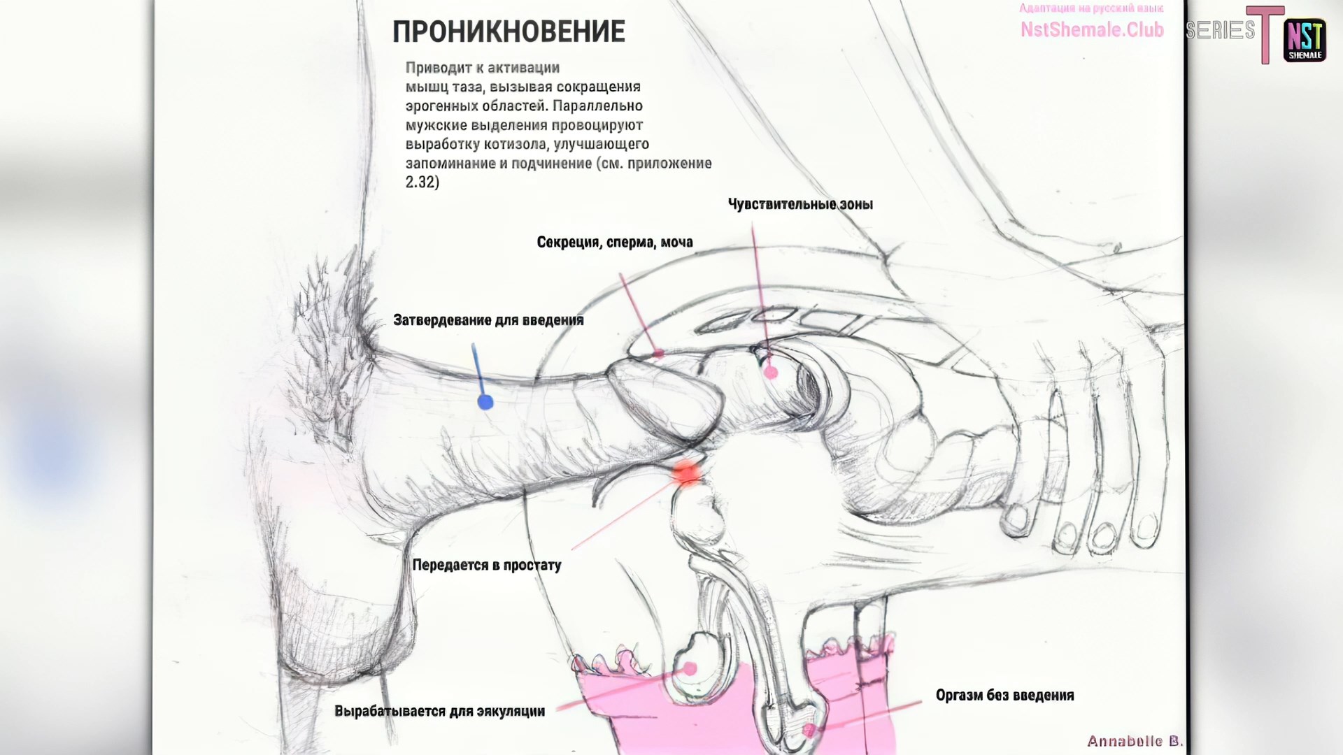 sissy femenizaciya na russkom - porn video (4)